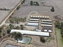 Aerial view - From drone - Captured at Calivil Breeder, Calivil VIC Australia.