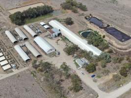 Aerial view - From drone - Captured at Calivil Breeder, Calivil VIC Australia.