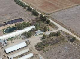 Aerial view - From drone - Captured at Calivil Breeder, Calivil VIC Australia.