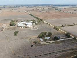 Aerial view - From drone - Captured at Calivil Breeder, Calivil VIC Australia.