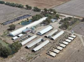 Aerial view - From drone - Captured at Calivil Breeder, Calivil VIC Australia.