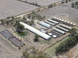 Aerial view - From drone - Captured at Calivil Breeder, Calivil VIC Australia.