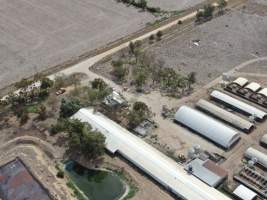 Aerial view - From drone - Captured at Calivil Breeder, Calivil VIC Australia.