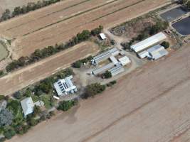 Aerial view - From drone - Captured at Unknown piggery, Lockington VIC Australia.