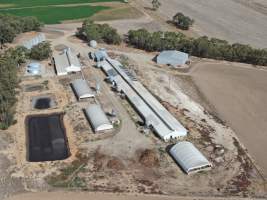 Aerial view - From drone - Captured at Hylehay Piggery, Milloo VIC Australia.