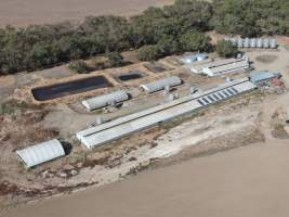 Aerial view - From drone - Captured at Hylehay Piggery, Milloo VIC Australia.