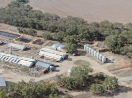 Aerial view - From drone - Captured at Hylehay Piggery, Milloo VIC Australia.