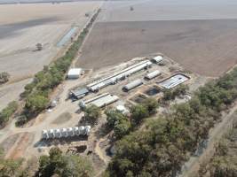 Aerial view - From drone - Captured at Hylehay Piggery, Milloo VIC Australia.