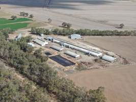 Aerial view - From drone - Captured at Hylehay Piggery, Milloo VIC Australia.