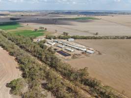 Aerial view - From drone - Captured at Hylehay Piggery, Milloo VIC Australia.