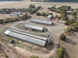 Aerial view - From drone - Captured at AJ & NM Carr Piggery, Bagshot North VIC Australia.