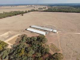 Aerial view - From drone - Captured at Unknown piggery, Goornong VIC Australia.