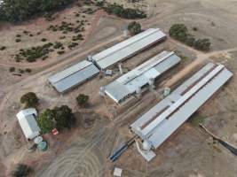 Aerial view - From drone - Captured at Whipstick Piggery, Bagshot North VIC Australia.