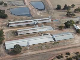 Aerial view - From drone - Captured at Whipstick Piggery, Bagshot North VIC Australia.