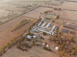 Aerial view - From drone - Captured at Bellfield Piggery, Woodstock West VIC Australia.