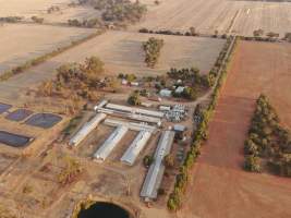 Aerial view - From drone - Captured at Bellfield Piggery, Woodstock West VIC Australia.