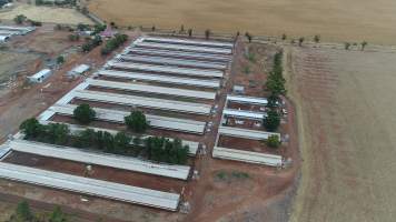 Drone flyover of piggery - Wasleys is one of the largest piggeries in South Australia. - Captured at Wasleys Piggery, Pinkerton Plains SA Australia.