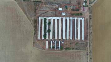 Drone flyover of piggery - Wasleys is one of the largest piggeries in South Australia. - Captured at Wasleys Piggery, Pinkerton Plains SA Australia.