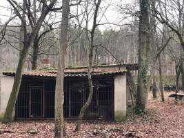 Abandoned Mink Farms - Abandoned mink farms in Brandenburg-Germany