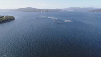 Drone flyover of offshore salmon farm - Floating sea cages containing farmed salmon, off Barretts Bay, near Police Point, Tasmania. - Captured at Huon Salmon Farm, Police Point TAS Australia.