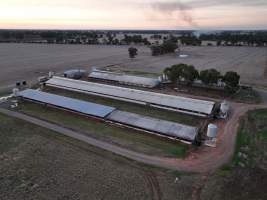 Drone flyover of piggery - Captured at Gowanbrae Piggery, Pine Lodge VIC Australia.