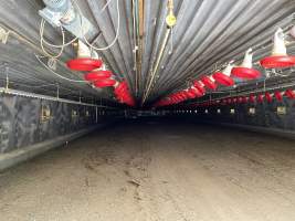 Broiler farm Biesenthal - A broiler farm in Brandenburg.