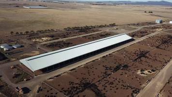 Drone flyover of cattle feedlot - Captured at Jalna Feedlot, Anakie VIC Australia.