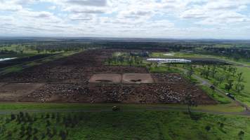 Drone flyover of cattle feedlot - Captured at Wainui Feedlot, Wainui QLD Australia.