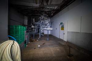 Kill floor - Captured at Australian Food Group Abattoir, Laverton North VIC Australia.