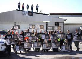 Activists rally outside Benalla slaughterhouse - Holding 'Stop Gassing Pigs for Pork' signs.
Photo by Gav Wheatley - Captured at Benalla Abattoir, Benalla VIC Australia.
