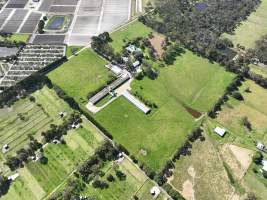 Drone Flyover Jan 2023 - Captured at Possibly CJ & JM Green, Pearcedale VIC Australia.