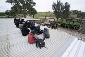 Activists occupy the rooftop of Strath Meats slaughterhouse - In September 2018, activists from Farm Transparency Project (then Aussie Farms) occupied the roof of Strath Meats in South Australia, a facility which featured heavily in Dominion. The action gained significant news coverage and shut down operations for a full day. Activists remained on the roof for 18 hours before coming down voluntarily after the slaughterhouse surrendered a sheep who would otherwise have been killed. - Captured at Strath Meats, Strathalbyn SA Australia.