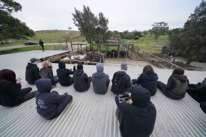Activists occupy the rooftop of Strath Meats slaughterhouse - In September 2018, activists from Farm Transparency Project (then Aussie Farms) occupied the roof of Strath Meats in South Australia, a facility which featured heavily in Dominion. The action gained significant news coverage and shut down operations for a full day. Activists remained on the roof for 18 hours before coming down voluntarily after the slaughterhouse surrendered a sheep who would otherwise have been killed. - Captured at Strath Meats, Strathalbyn SA Australia.