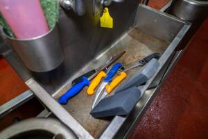 Knives in a sink in sheep/pig/goat processing room - Captured at Gathercole's Wangaratta Abattoir, Wangaratta VIC Australia.