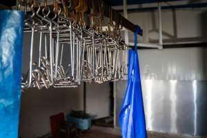 Shackles hanging in rabbit slaughterhouse - Captured at Gippsland Meats, Bairnsdale VIC Australia.