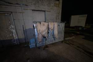 Dumpster draped with sheep skins - Outside back door of rabbit/sheep slaughterhouse - Captured at Gippsland Meats, Bairnsdale VIC Australia.