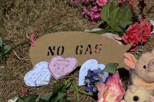 Memorial outside of Midland Bacon - Photos taken outside Midland Bacon, where activists were asking for the release of Olivia, a mother sow who was sexually assaulted while confined in a farrowing crate. - Captured at Midland Bacon, Carag Carag VIC Australia.