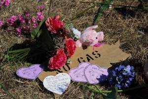 Memorial outside of Midland Bacon - Photos taken outside Midland Bacon, where activists were asking for the release of Olivia, a mother sow who was sexually assaulted while confined in a farrowing crate. - Captured at Midland Bacon, Carag Carag VIC Australia.