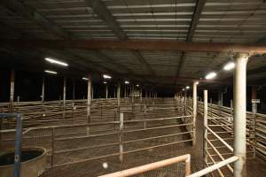 Empty holding pens - Captured at Ralphs Meat Co, Seymour VIC Australia.