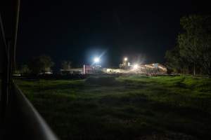 Outside slaughterhouse at night - Unloading ramp and holding pens - Captured at Ralphs Meat Co, Seymour VIC Australia.