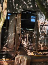 Atherton piggery - Captured at G G Rockley, Atherton QLD Australia.