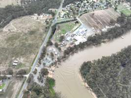 Drone flyover of slaughterhouse - Captured at MD Foods Australia, Echuca VIC Australia.