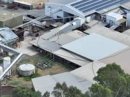 Drone flyover of slaughterhouse - Sheep in holding pens - Captured at MD Foods Australia, Echuca VIC Australia.