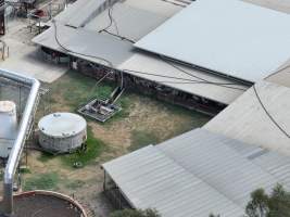 Drone flyover of slaughterhouse - Sheep in holding pens - Captured at MD Foods Australia, Echuca VIC Australia.