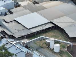 Drone flyover of slaughterhouse - Sheep in holding pens - Captured at MD Foods Australia, Echuca VIC Australia.