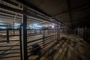 Holding pens at night - Sheep in a pen in the background - Captured at MD Foods Australia, Echuca VIC Australia.