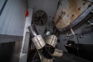 V restraint and sticking table in kill room - Captured at MD Foods Australia, Echuca VIC Australia.