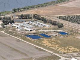 Drone photo of Eco piggery - Captured at EcoPiggery, Leitchville VIC Australia.