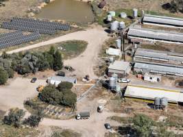 Drone photo of Eco piggery - Captured at EcoPiggery, Leitchville VIC Australia.