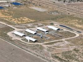 Drone photo of Eco piggery - Captured at EcoPiggery, Leitchville VIC Australia.